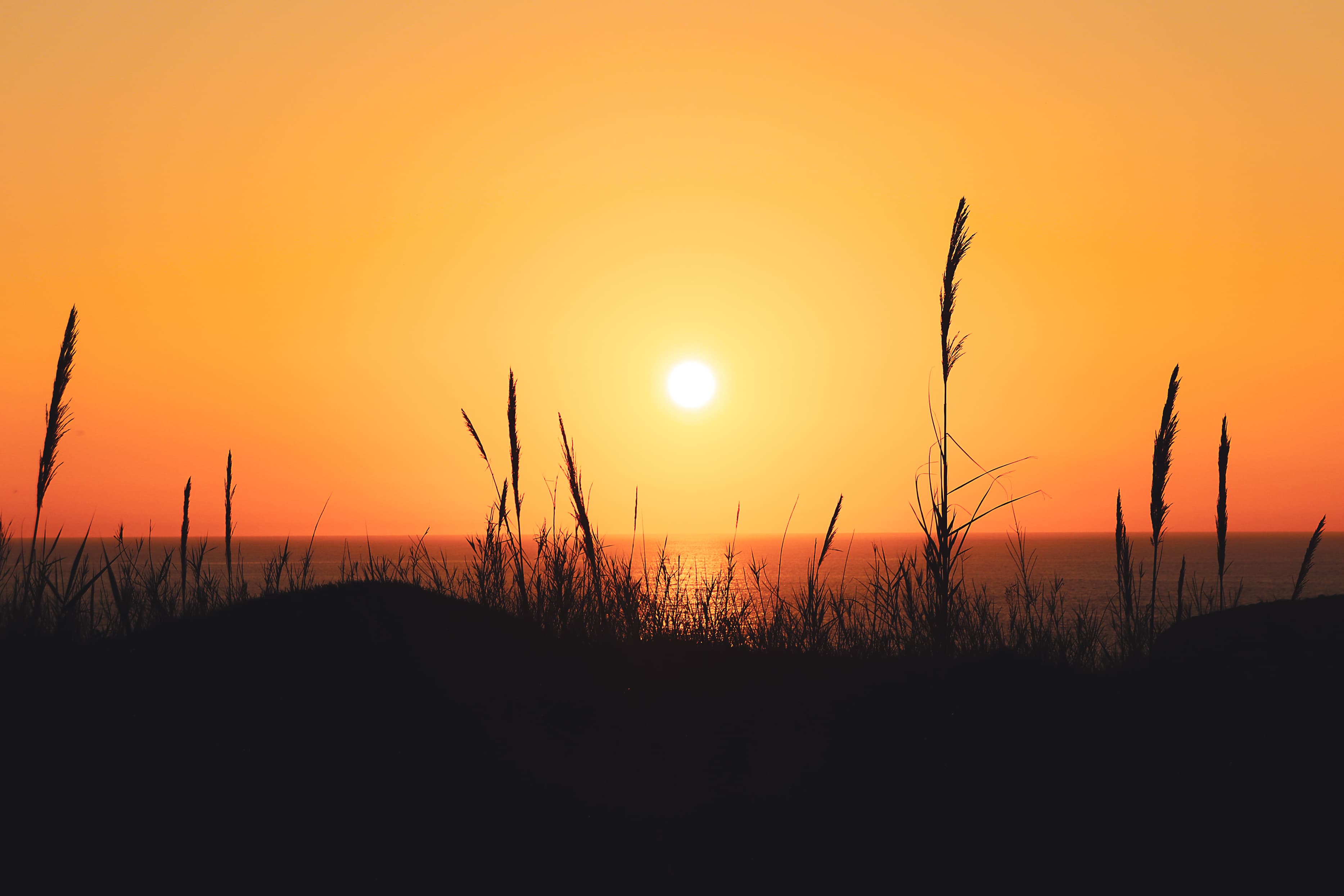 Golden gradient
