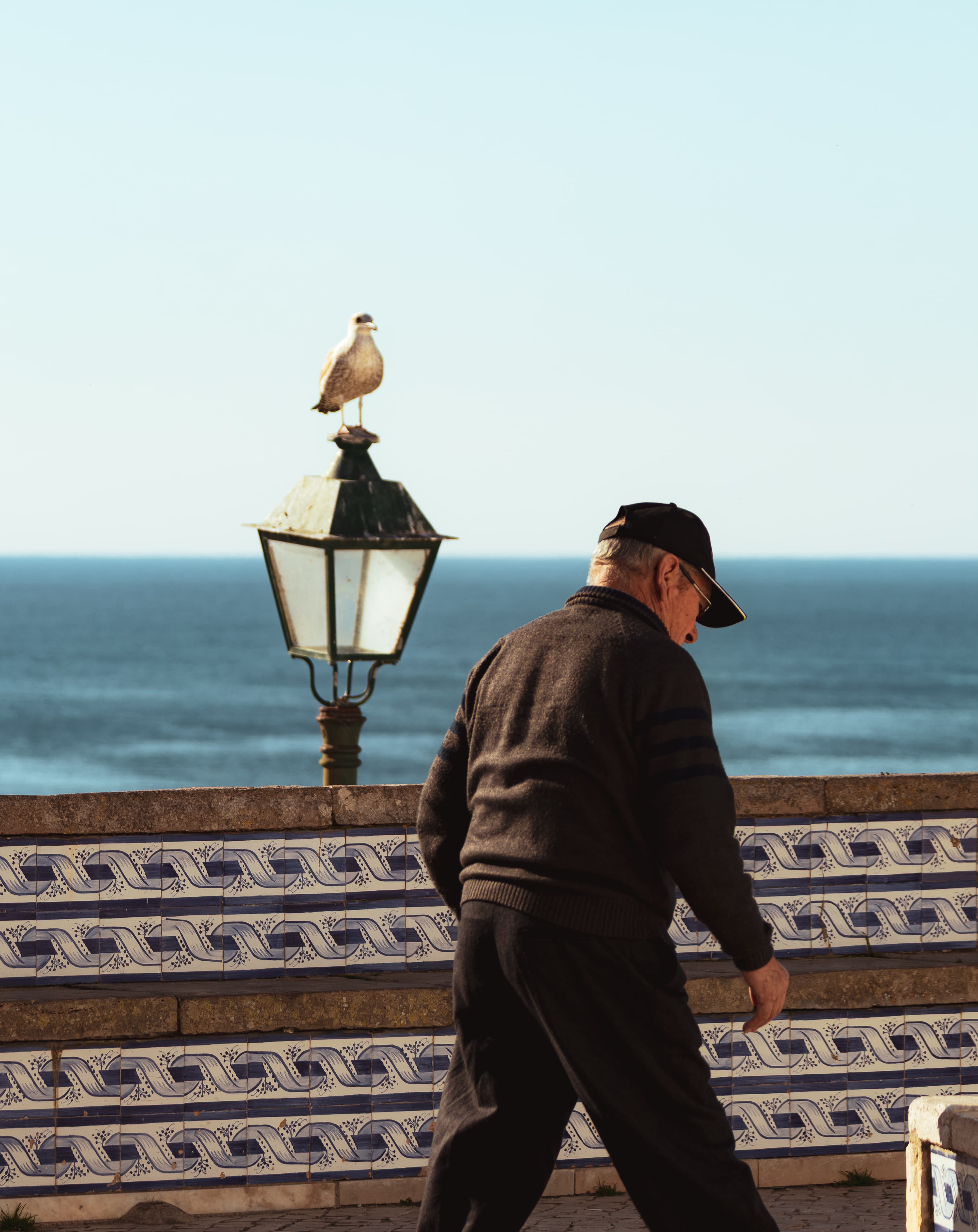 Companions by the sea