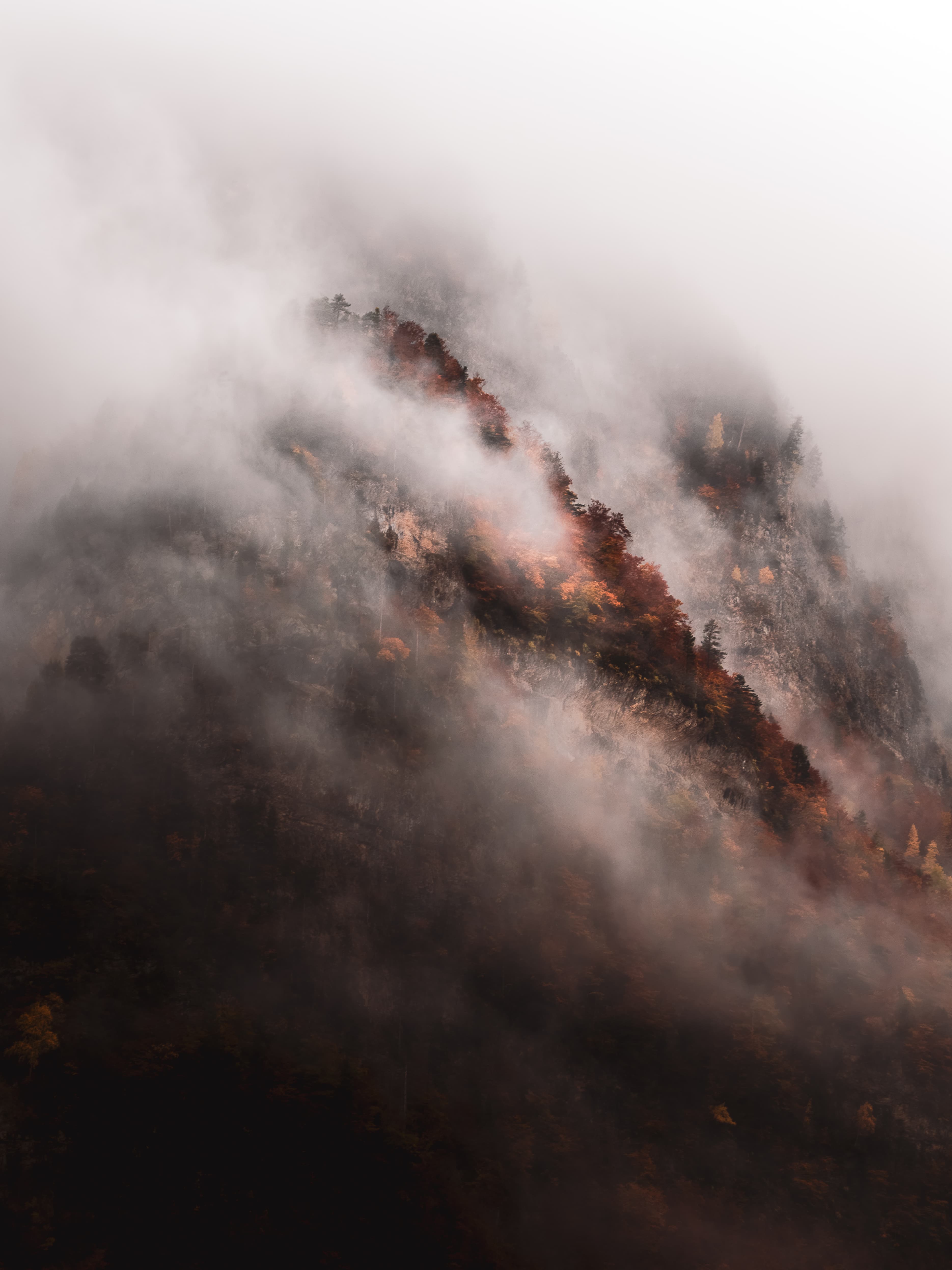 Between the Fog