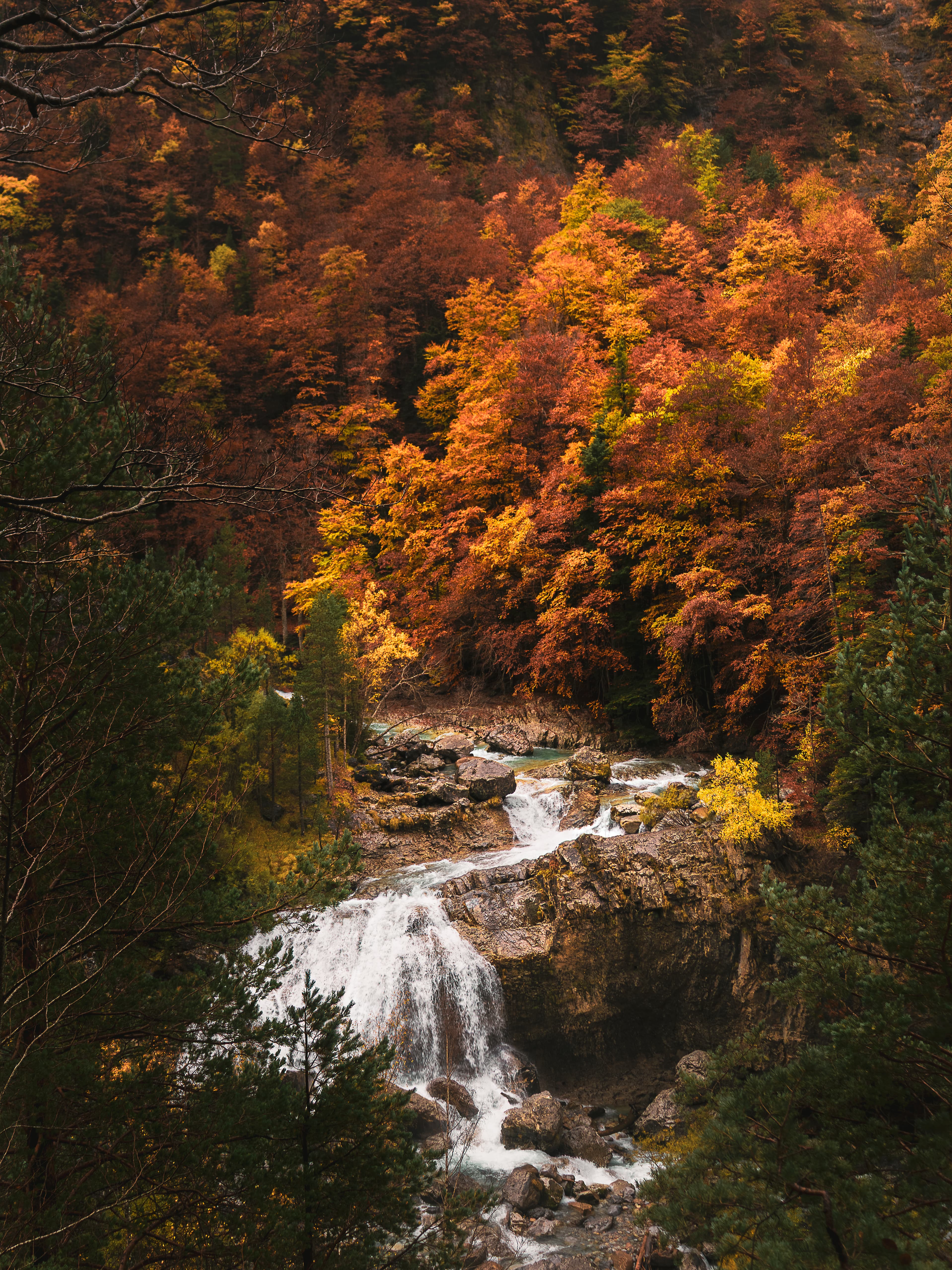 The Valley