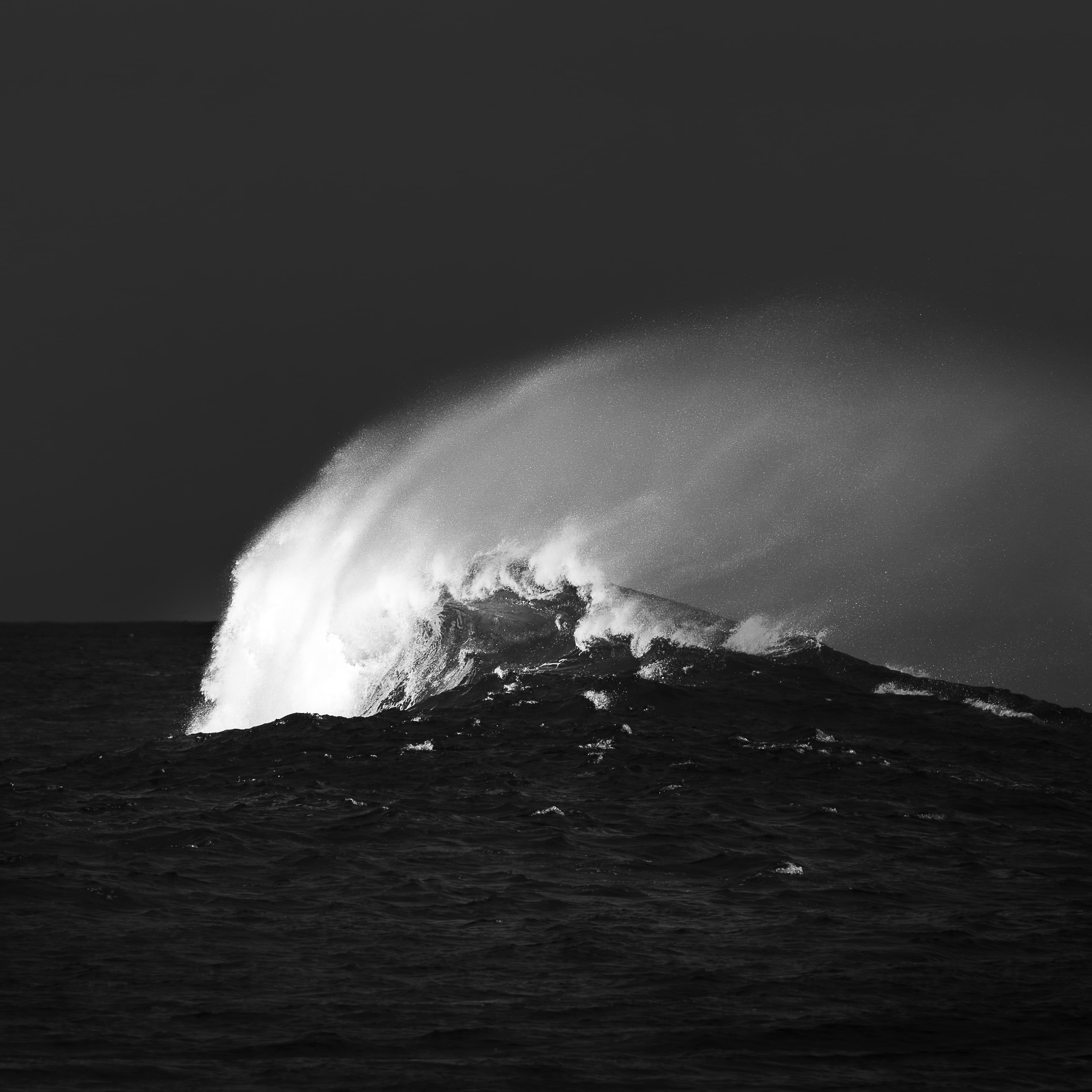 Sea of Shadows