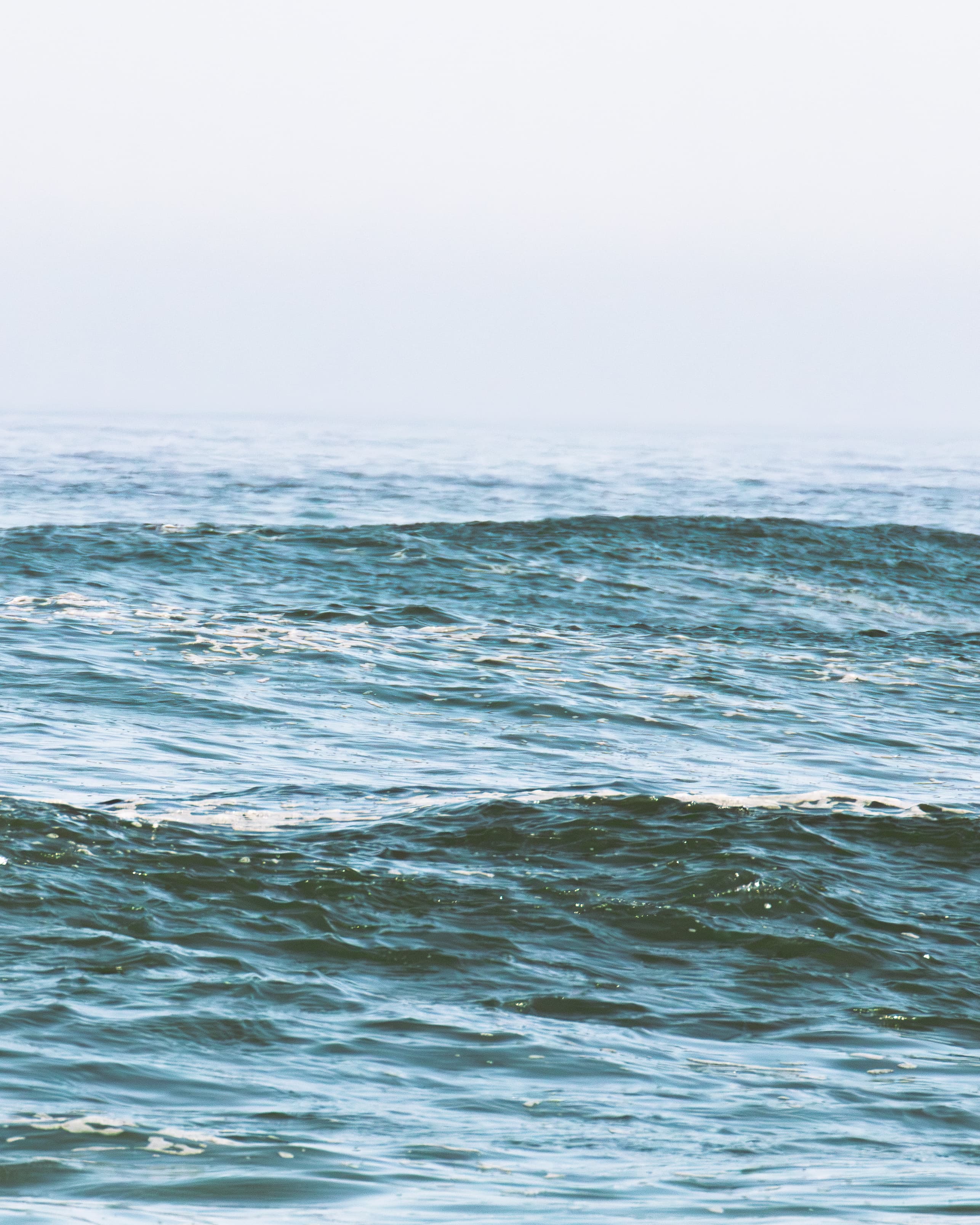 Surf & Waves, Ericeira